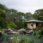 DSC00094