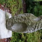 DSC00114